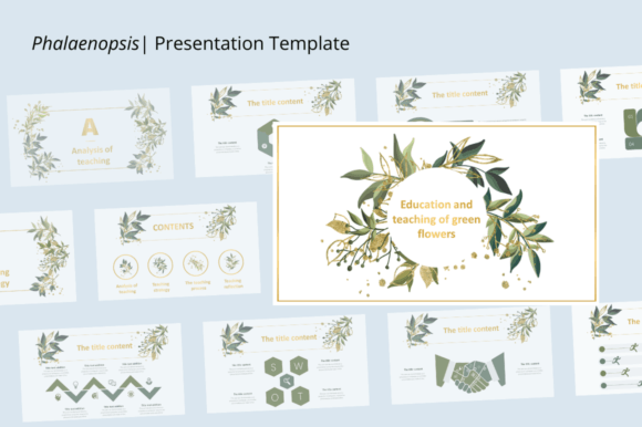 Phalaenopsis: Elevating Your Brand with Elegant Typography
